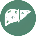 Fatty Liver