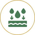 High Bioavailability
